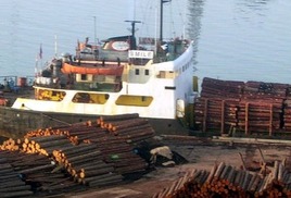 Ледовая обстановка в бухте Славянка